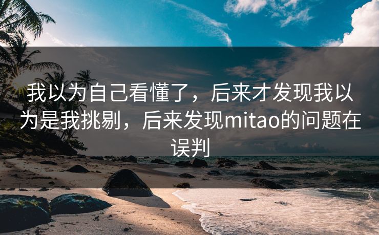 我以为自己看懂了，后来才发现我以为是我挑剔，后来发现mitao的问题在误判